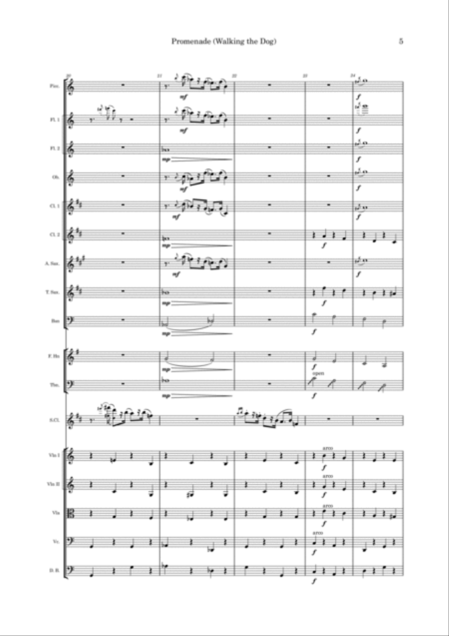 Promenade (Walking The Dog) Chamber Orchestra scores gallery preview page 5