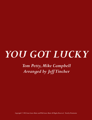 Book cover for You Got Lucky