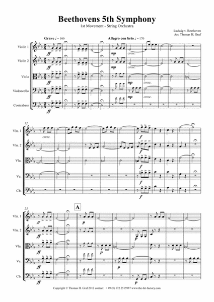 Beethovens 5th Symphony - 1st Movement - String Orchestra