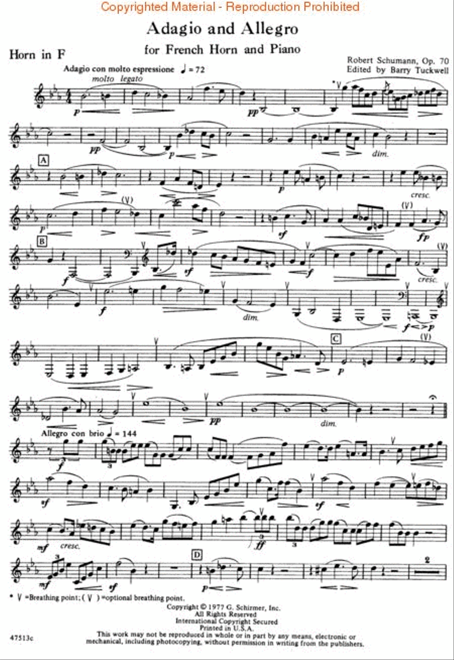 Adagio and Allegro, Op. 70 Piano Accompaniment scores gallery preview page 2