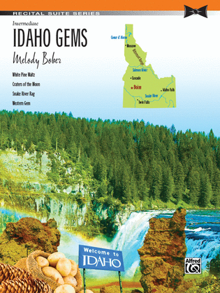 Book cover for Idaho Gems