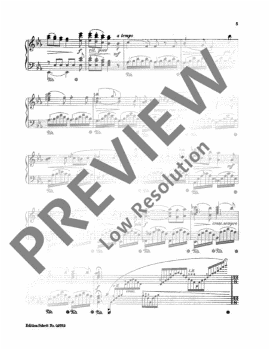 Der Wanderer Piano Solo scores gallery preview page 6