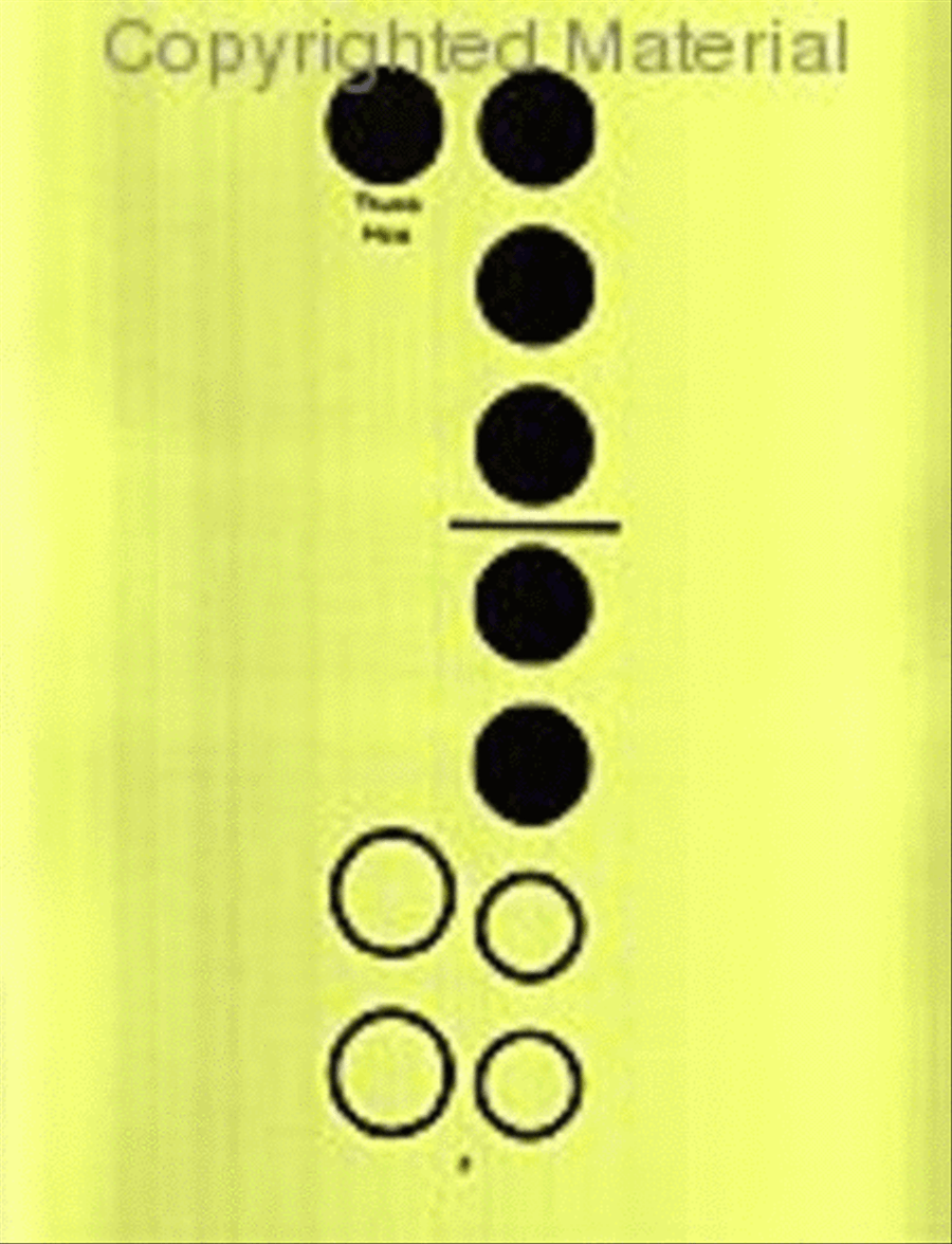 Recorder Fingering and Note Name Flashcards Recorder scores gallery preview page 2