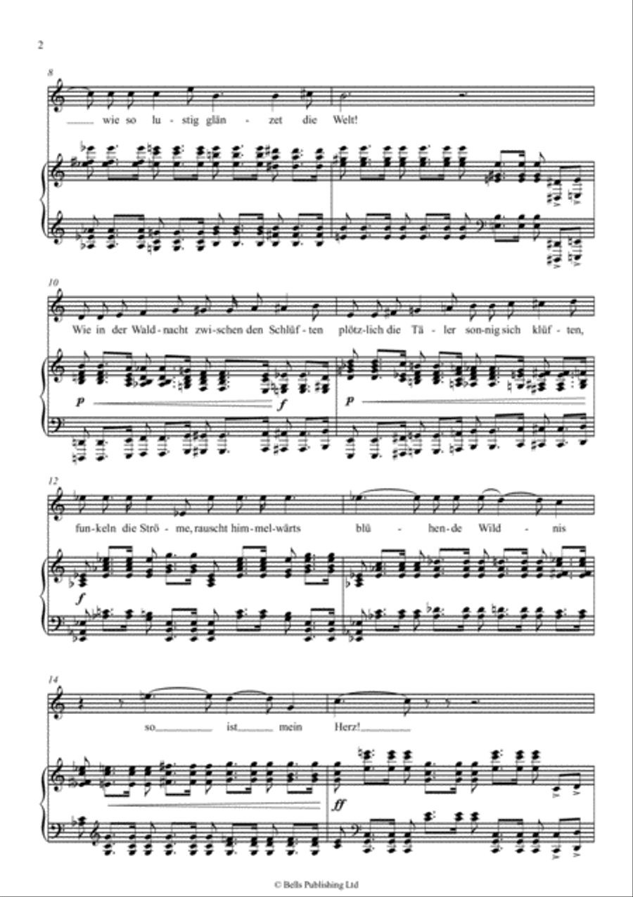 Liebesgluck (C Major) Voice Solo scores gallery preview page 2