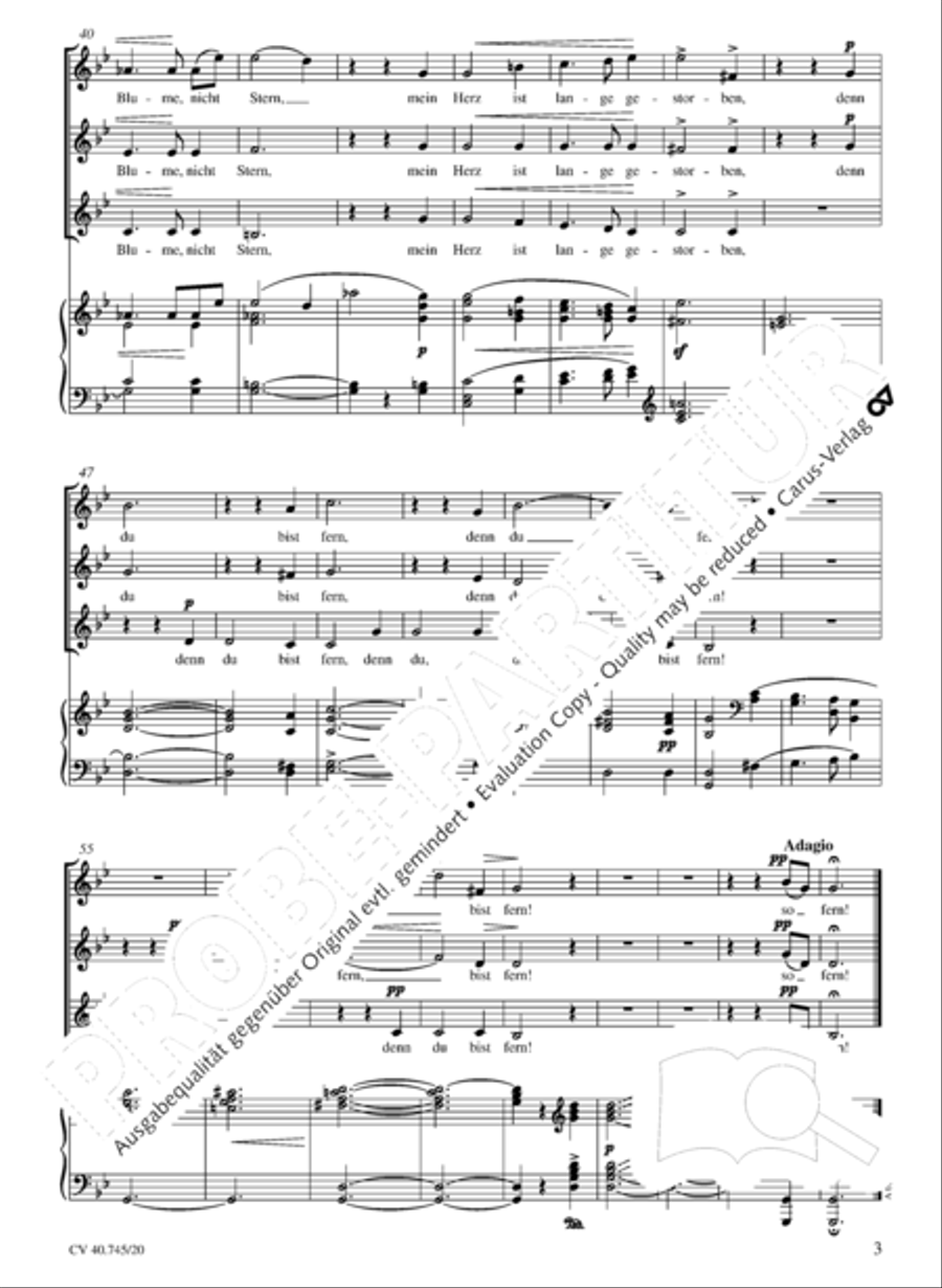 Lied Lied SSA scores gallery preview page 4