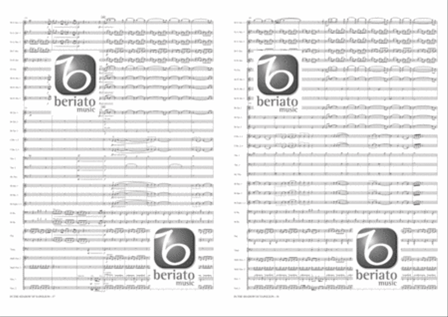 In the Shadow of Napoleon Fanfare Band scores gallery preview page 20