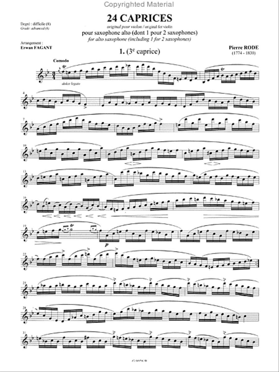 24 Caprices Chamber Music scores gallery preview page 2