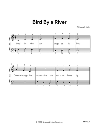 Bird By a River