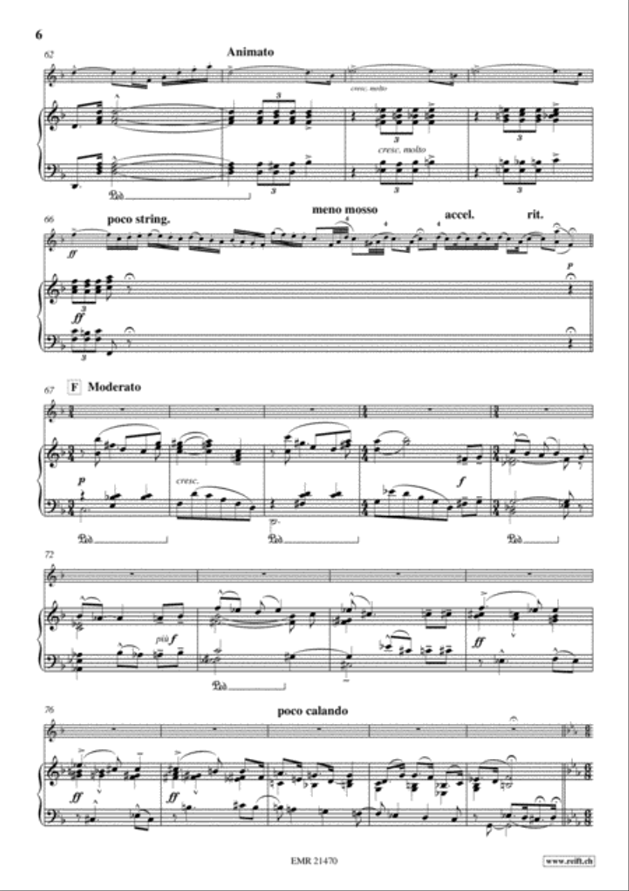 Concerto No. 8 Alto Recorder scores gallery preview page 6