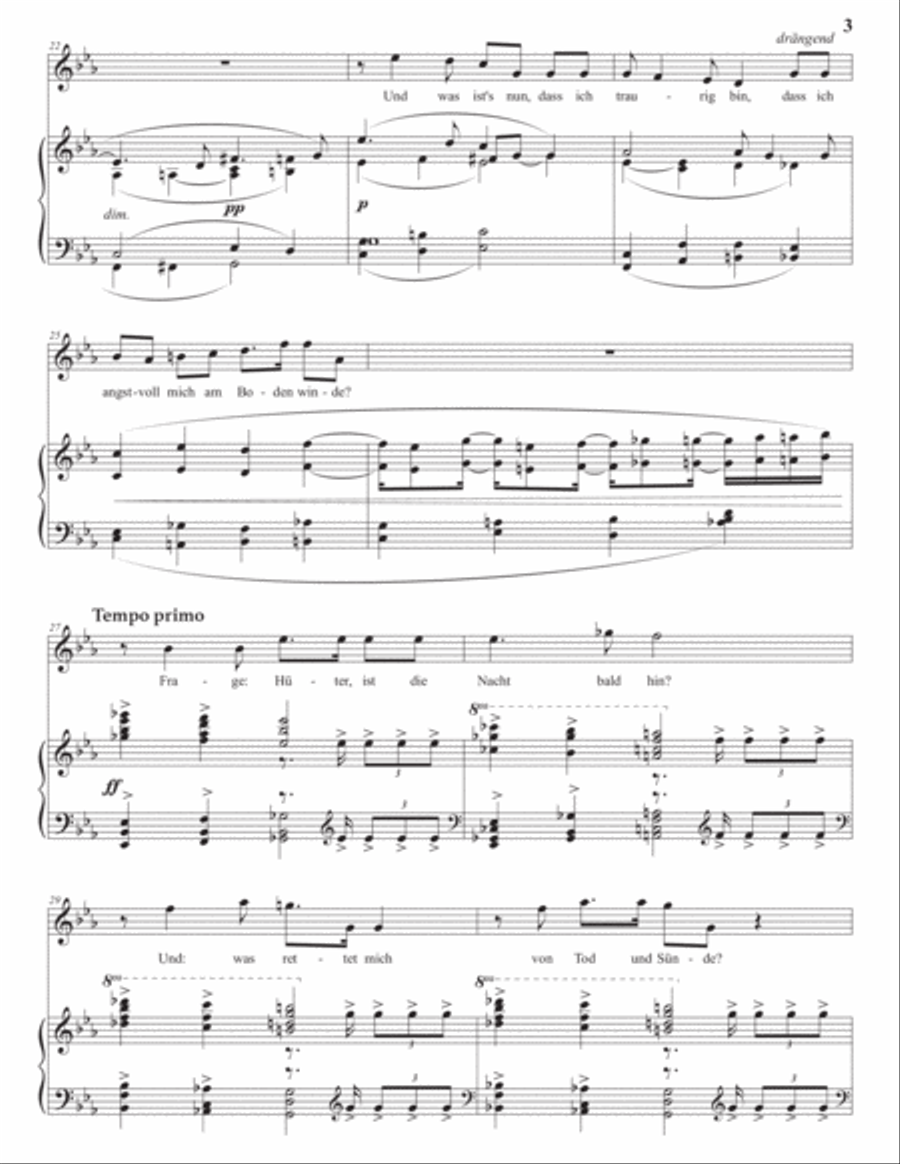 WOLF: Wo find' ich Trost (transposed to C minor) Voice scores gallery preview page 4