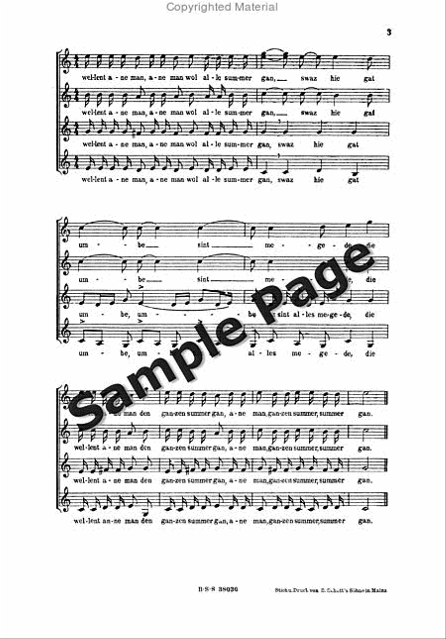 Werdin E Reigen D Verschmaehten Maedche SSAA scores gallery preview page 4