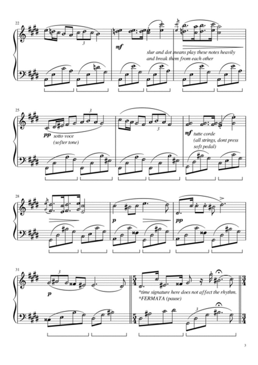 Nocturne No. 20 in C Sharp Minor (Chopin) | Grade 7 with note names & meanings of terms image number null