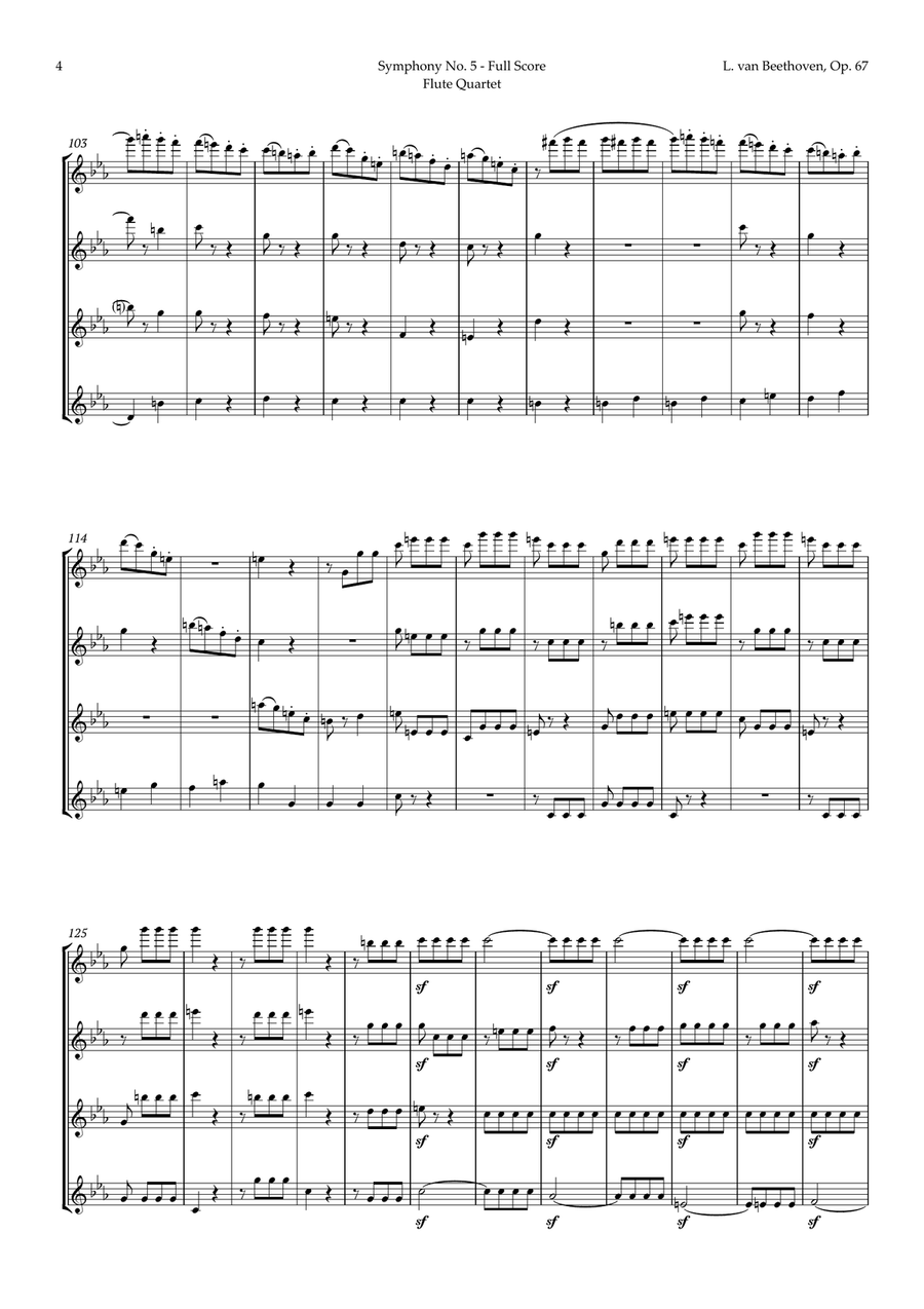 Symphony No. 5 by Beethoven for Flute Quartet Flute Quartet scores gallery preview page 5