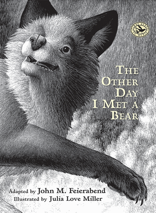 Book cover for The Other Day I Met a Bear