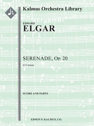 Book cover for Serenade in E minor, Op. 20