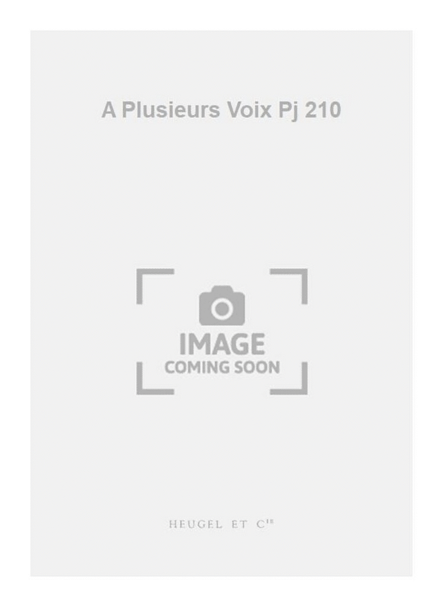 A Plusieurs Voix Pj 210 SSAATTBB scores gallery preview page 1