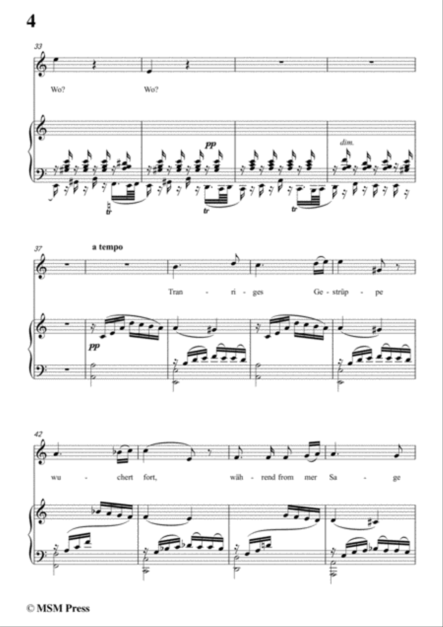Schubert-Auf der Donau,in F sharp Major,Op.21,No.1,for Voice and Piano Voice Solo scores gallery preview page 6