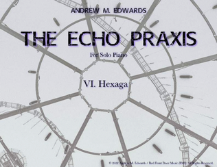 The Echo Praxis - VI. Hexaga