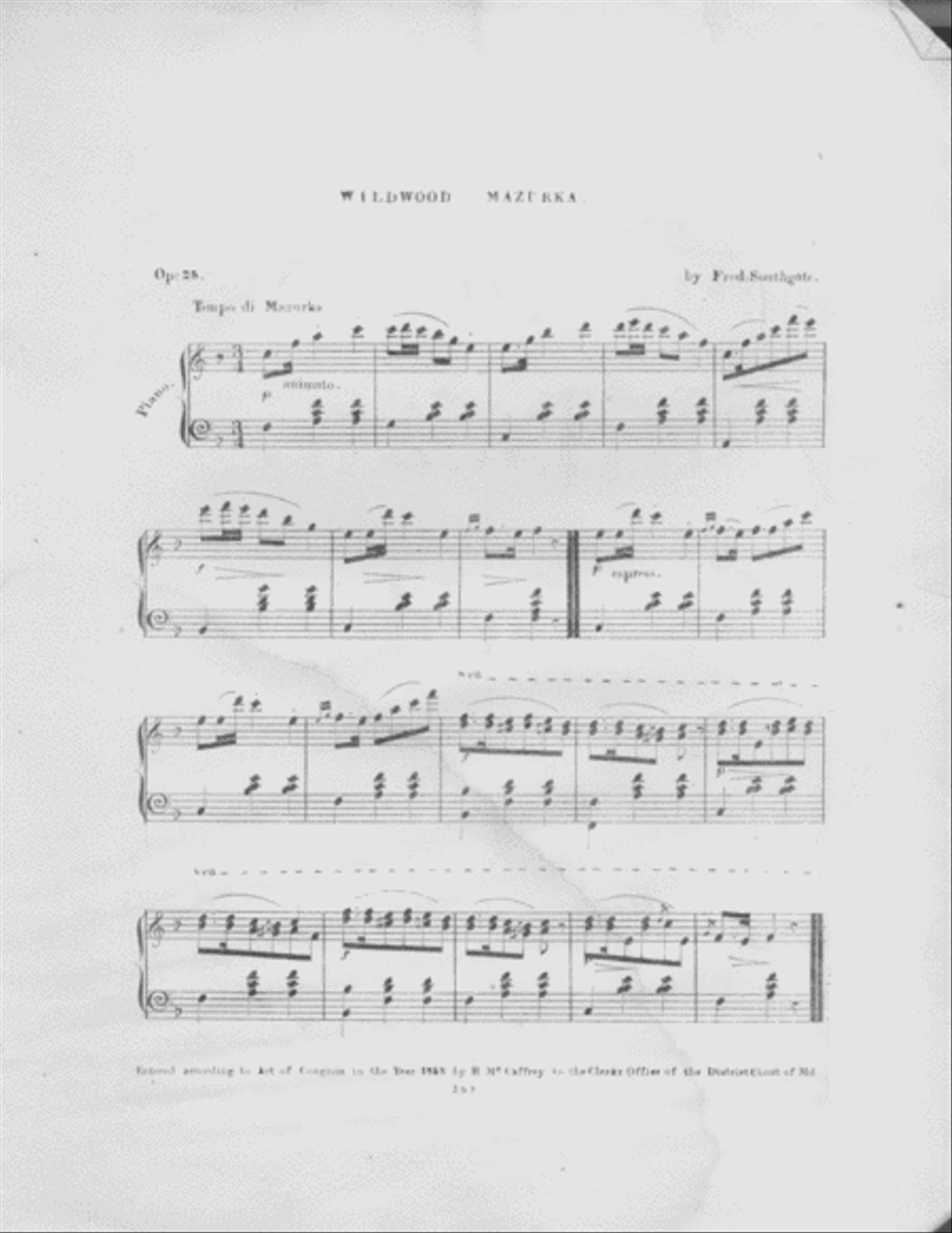 Wild Wood Mazurka Piano Solo scores gallery preview page 2