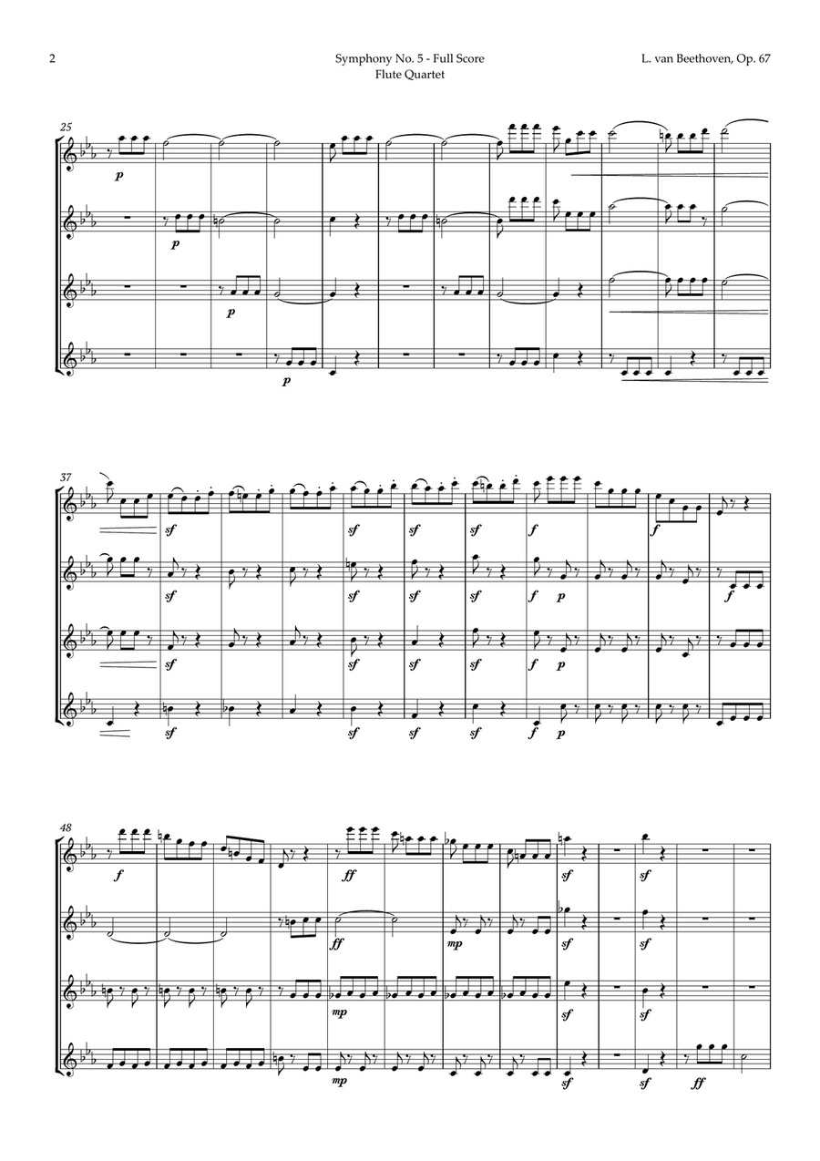 Symphony No. 5 by Beethoven for Flute Quartet Flute Quartet scores gallery preview page 3