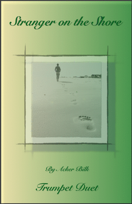 Book cover for Stranger On The Shore