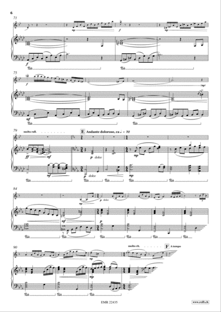 Hungarian Horntail Hungarian Horntail Clarinet Solo scores gallery preview page 6
