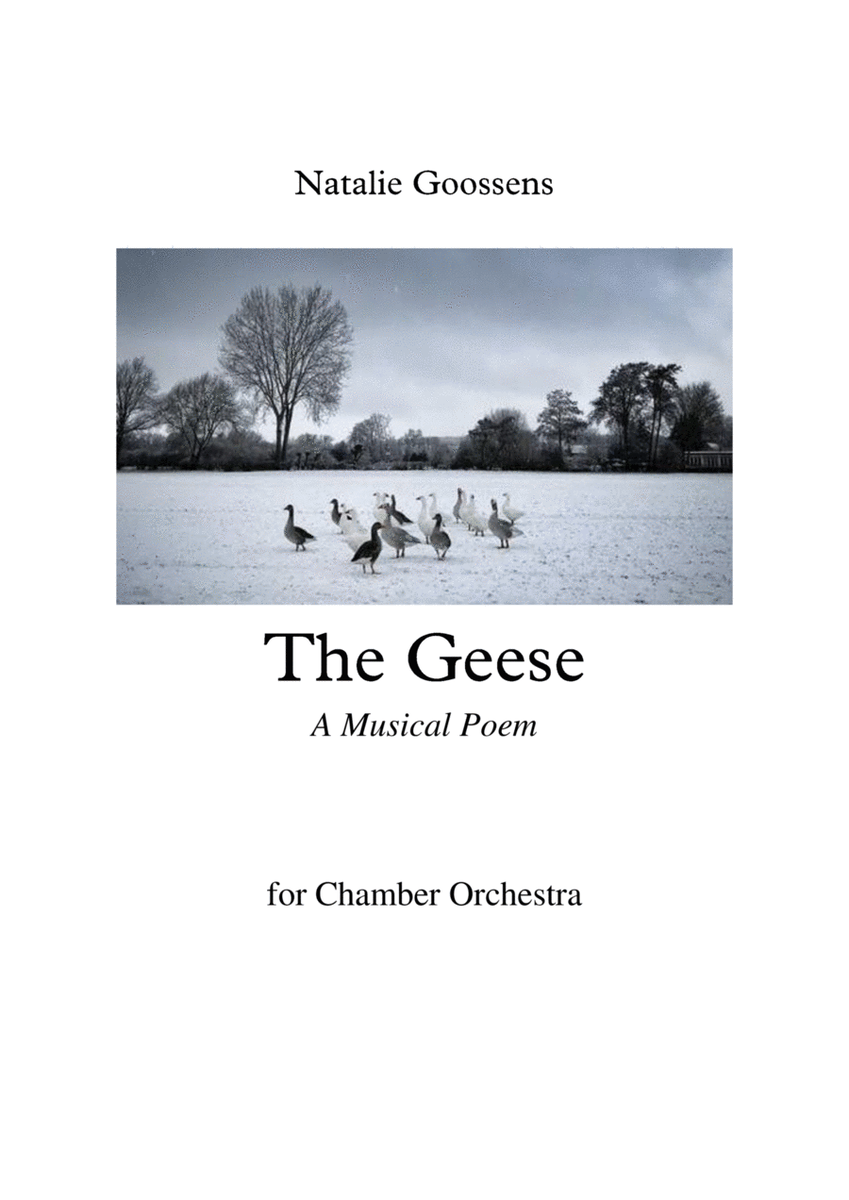 The Geese - A Musical Poem for Chamber Orchestra image number null