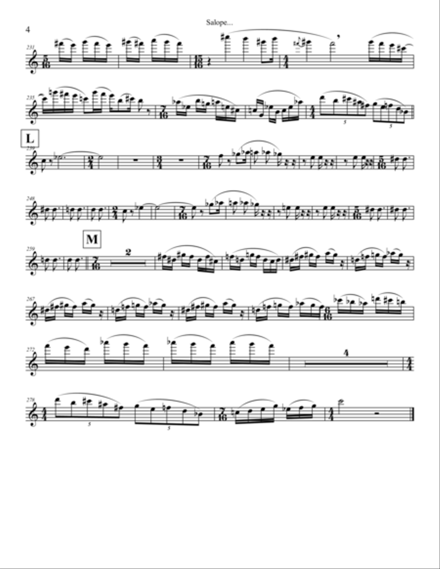 Salope! Small Ensemble scores gallery preview page 6