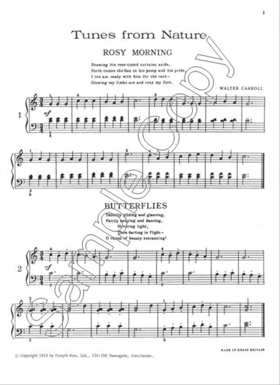 Tunes from Nature Easy Piano scores gallery preview page 2