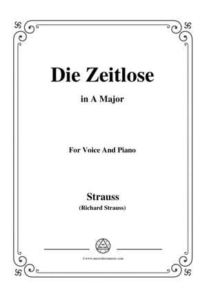 Richard Strauss-Die Zeitlose in A Major,for Voice and Piano
