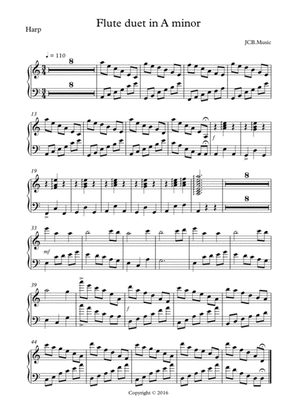 Flute duet in A minor