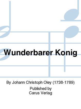 Book cover for Wunderbarer Konig