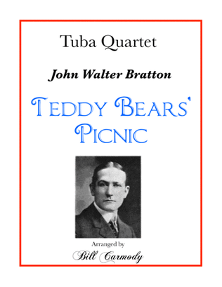 Book cover for Teddy Bears' Picnic
