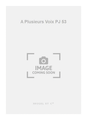Book cover for A Plusieurs Voix PJ 53
