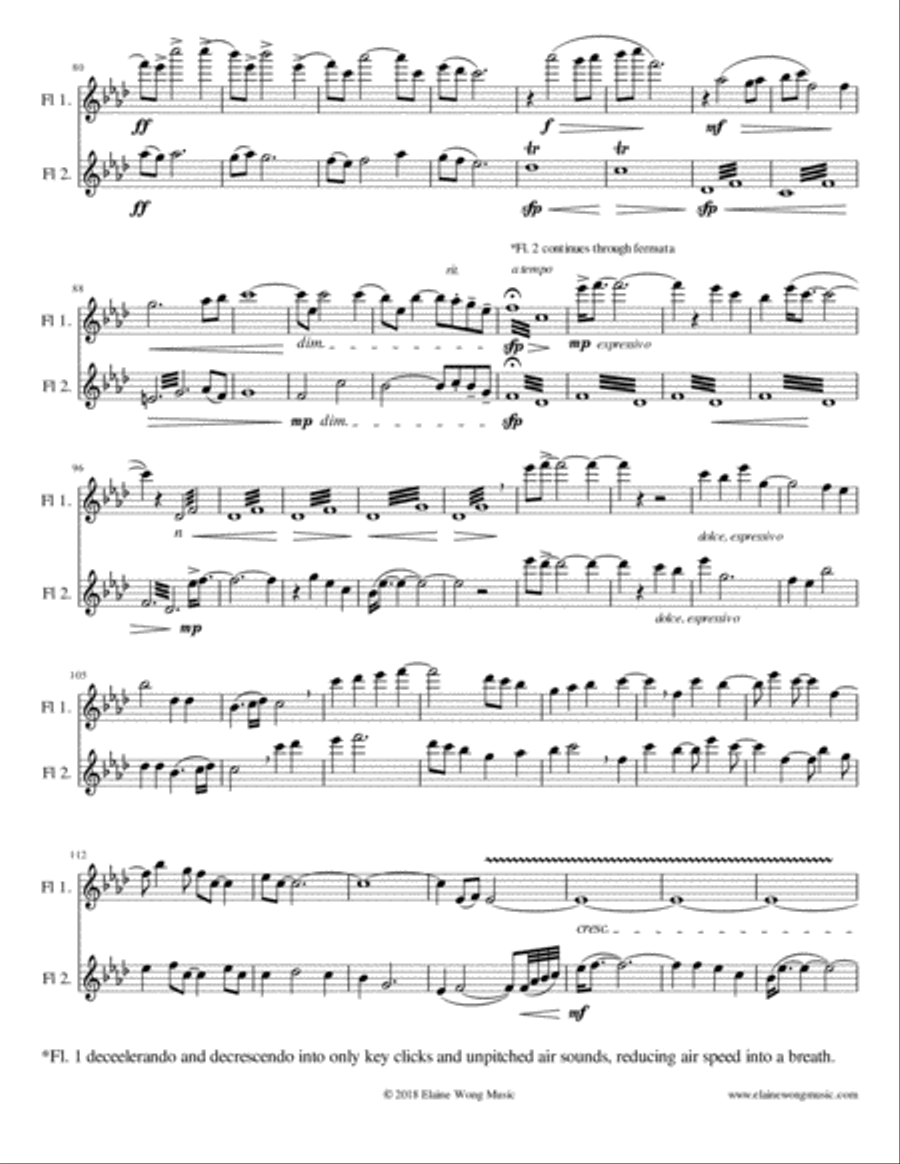 Zephyr: for 2 flutes Flute Duet scores gallery preview page 5