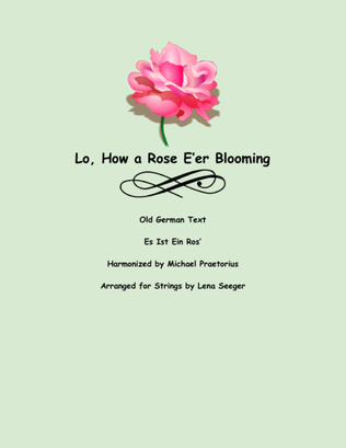 Lo How a Rose E'er Blooming (two violins and cello)