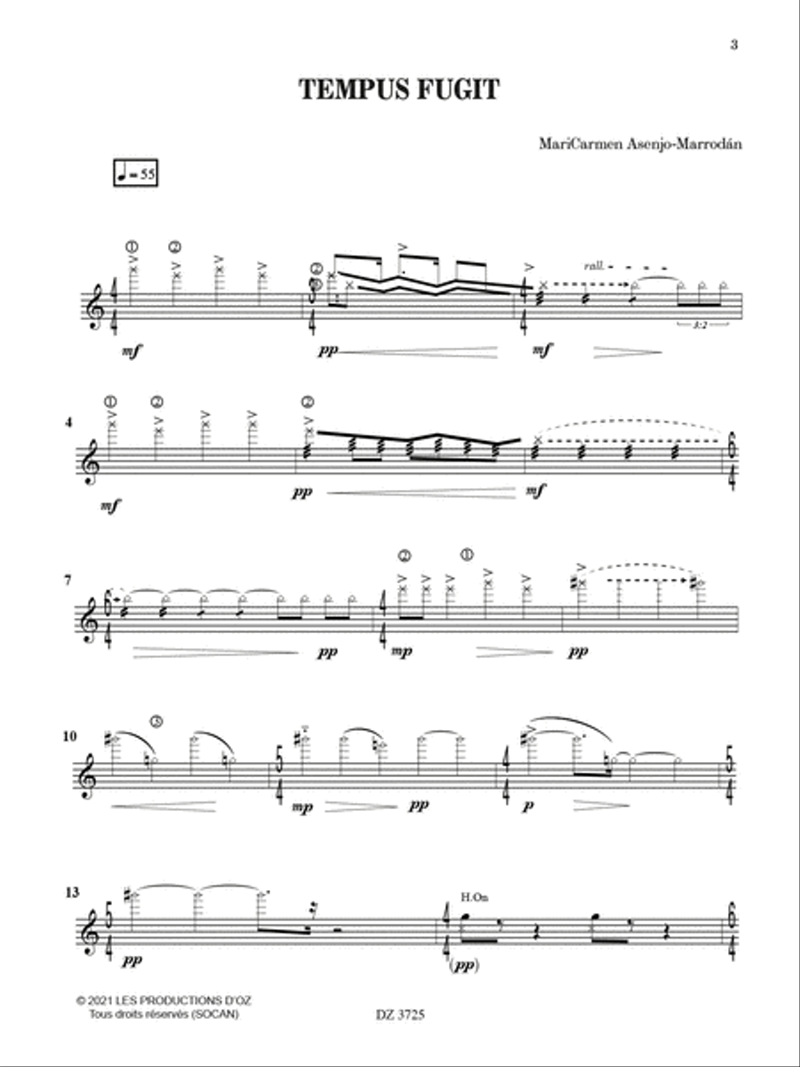 Tempus fugit Classical Guitar scores gallery preview page 2