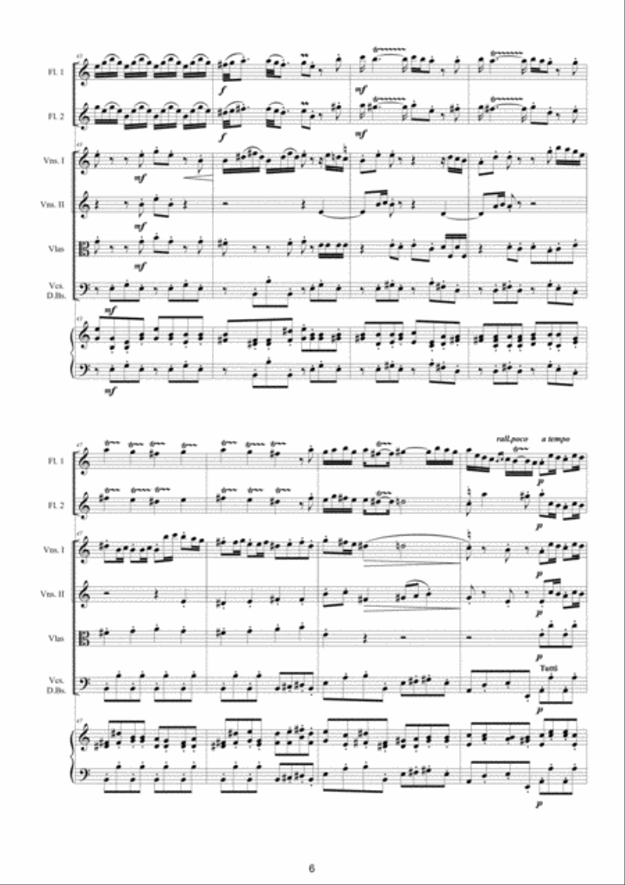 Vivaldi - Double Concerto in C major RV 533 for Two Flutes, Strings and Cembalo Woodwind Ensemble scores gallery preview page 6