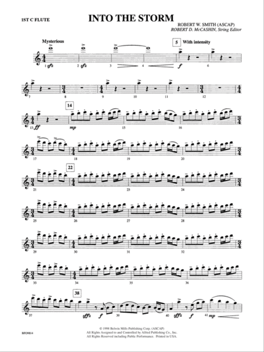 Into the Storm: Flute Full Orchestra scores gallery preview page 1