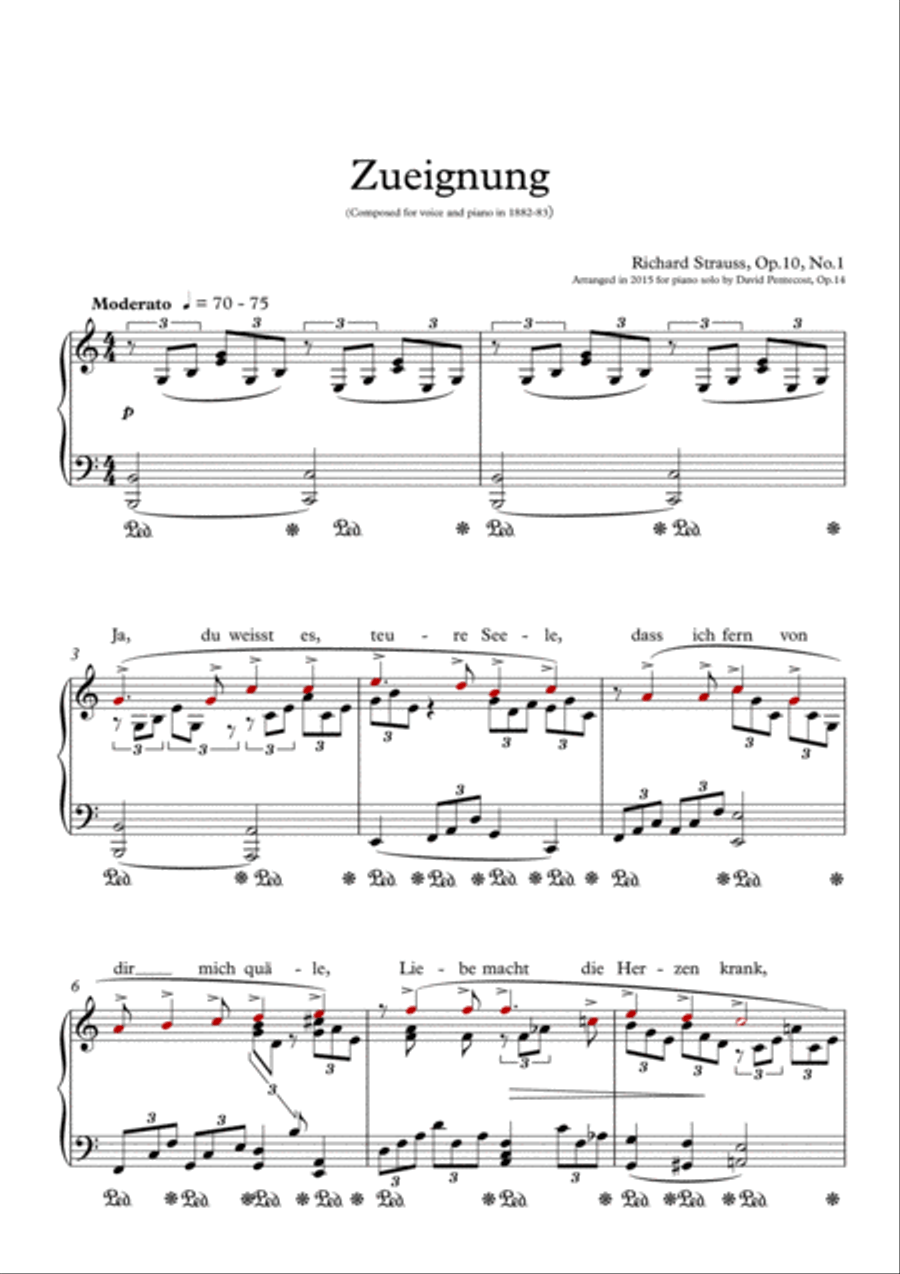 Zueignung (arr. Opus 14) Piano Solo scores gallery preview page 2