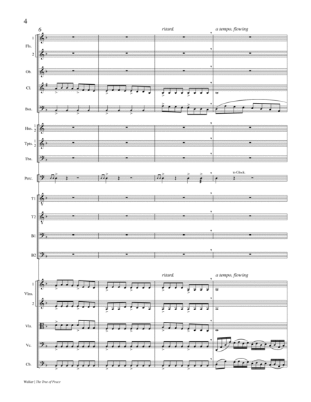 The Tree of Peace (Chamber Orchestra Full Score)