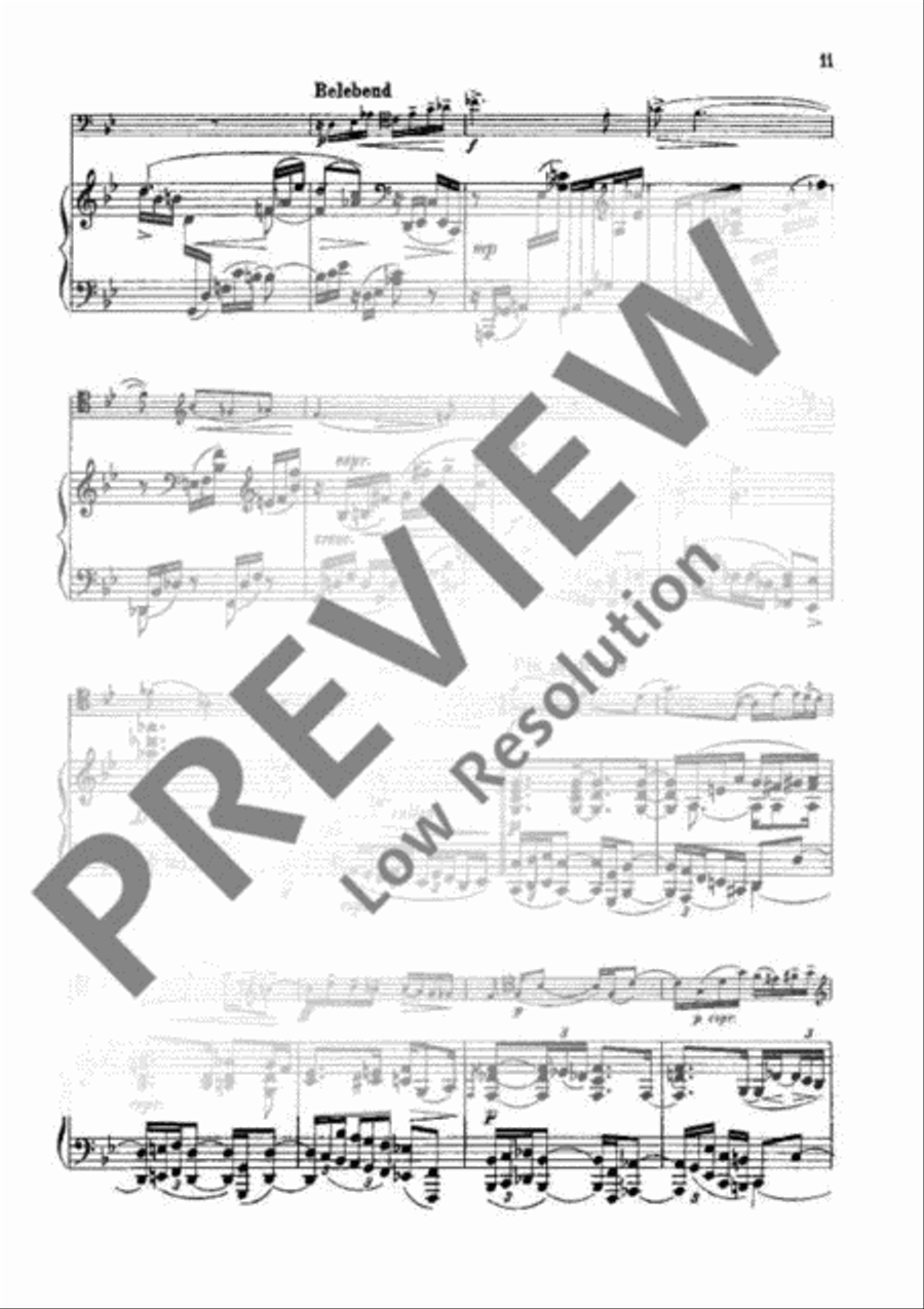 Sonata G Minor Piano Accompaniment scores gallery preview page 10
