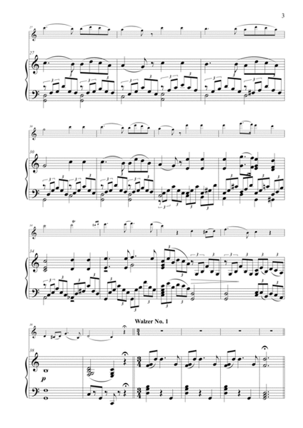 Deutsches Gemüthsleben, Waltz for Violin and Piano, Op. 88 image number null
