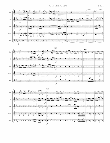 Mozart - Rondo from Concerto in Eb for Horn with wind quintet image number null