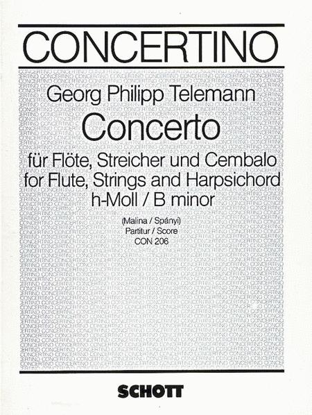 Flute Concerto B Minor Score