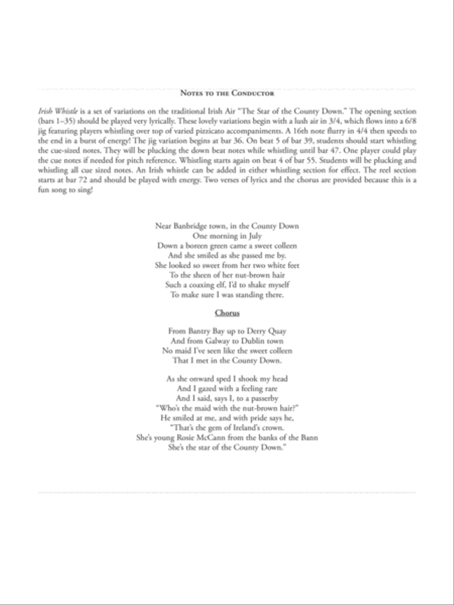 Irish Whistle: Score Irish Whistle: Score String Orchestra scores gallery preview page 2