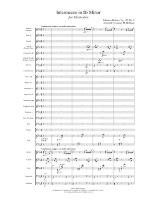 Intermezzo in B-flat Minor, Op. 117, No. 2
