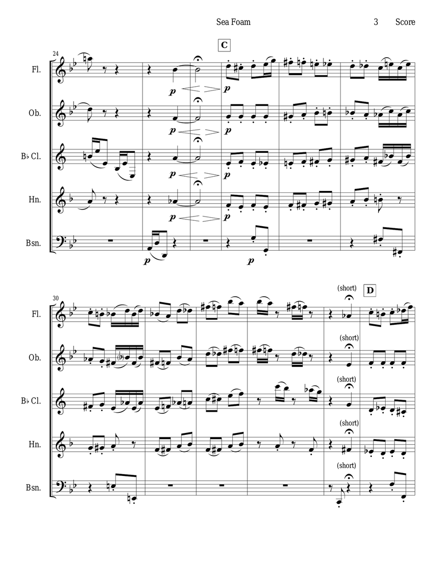 Frank Bridge - Sea-Foam set for woodwind quintet Woodwind Quintet scores gallery preview page 3