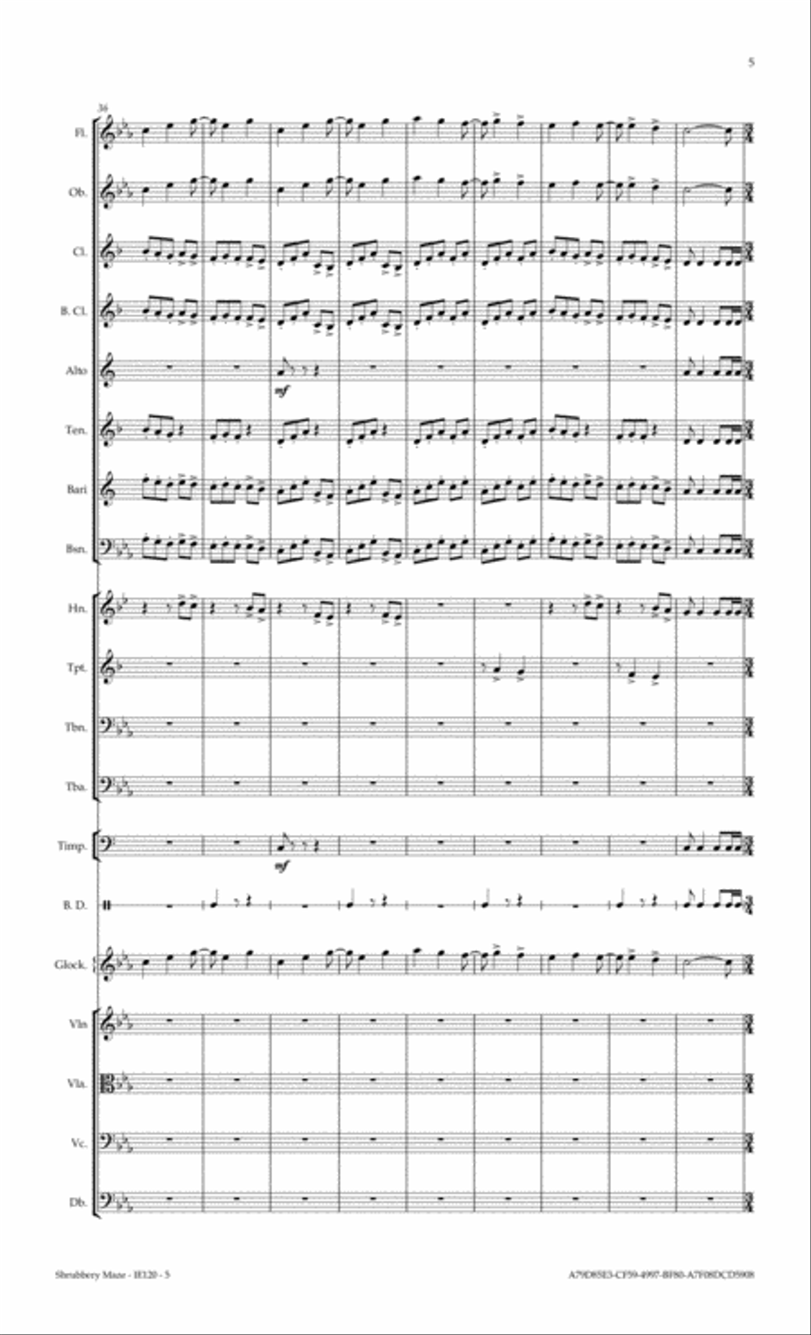 Shrubbery Maze Full Orchestra scores gallery preview page 5