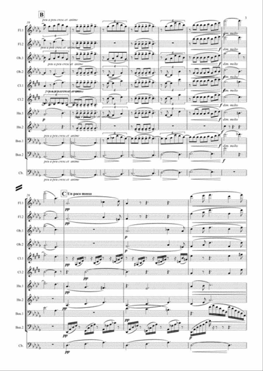 Debussy: Suite Bergamasque Mvt.3 Clair de Lune - wind dectet (& bass) School and Community scores gallery preview page 3